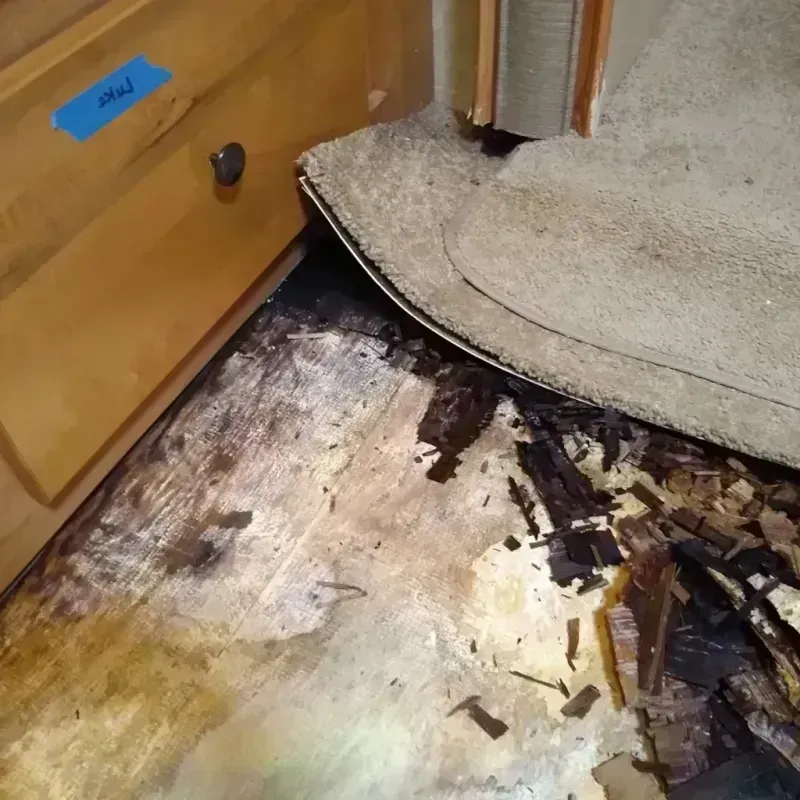 Wood Floor Water Damage in Rochester, MI